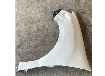 Symbol 2013-2020 sol çamurluk